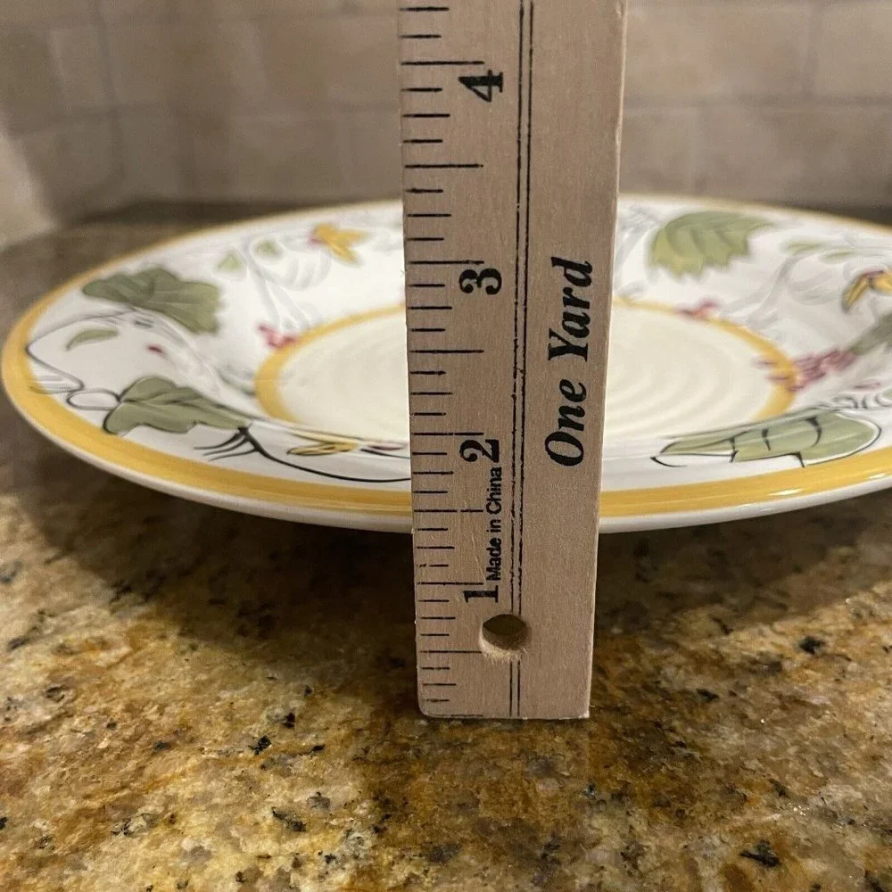 Pier 1 Imports Bowl Plate 10.75 Inch Chateau Napa Hand Painted Pasta Ceramic EUC